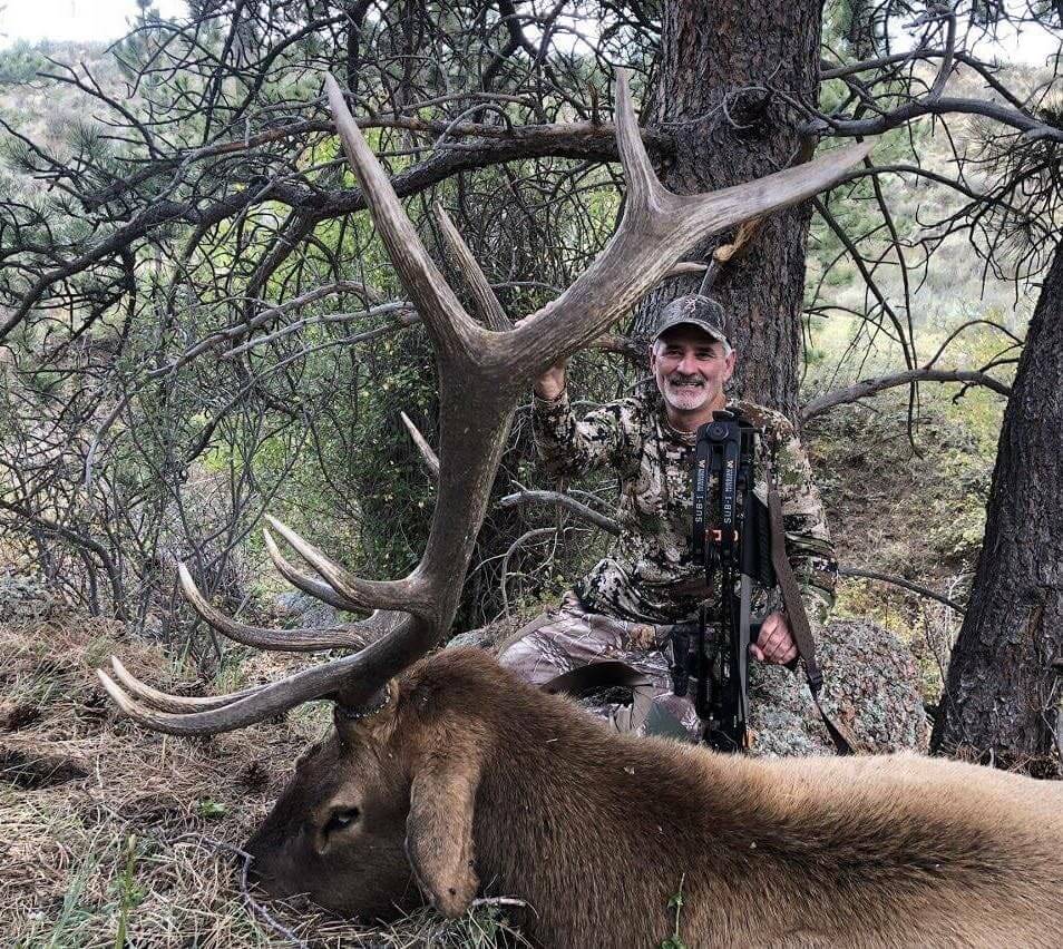 Man in camouflage holding an elk with large antlers in a forest setting