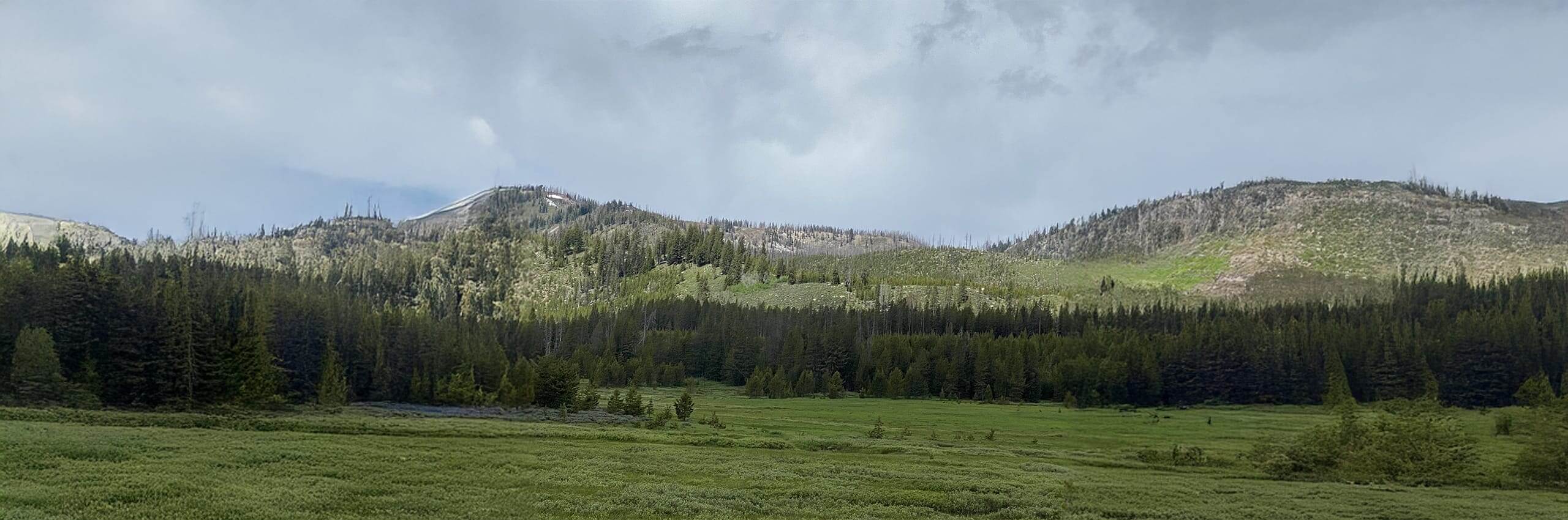 Scenic view of a mountain range with green trees and grass under a blue sky.
